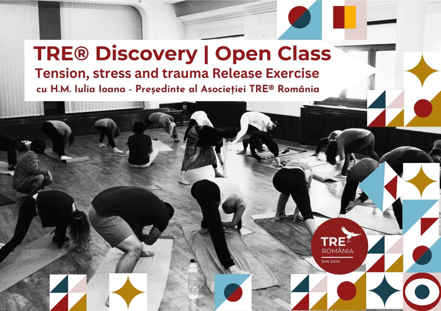 TRE® Discovery | Open Class